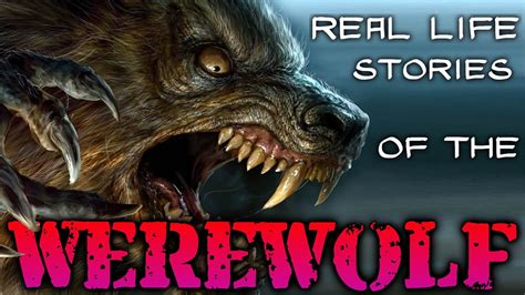 Tales of Transformation: Exploring the Spell of the Werewolf Chimp.